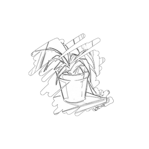 因为你喜欢上这个世界