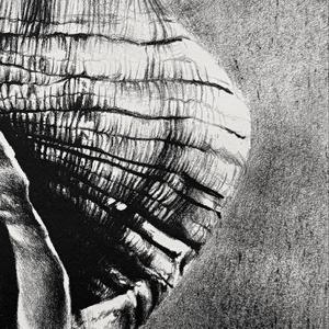 Zırhımı Kuşandım