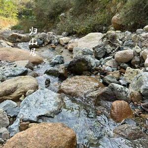 归山居
