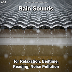 Calm Rain Sounds