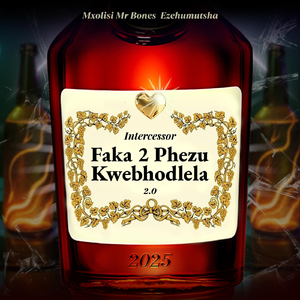 Faka 2 Phezu Kwebhodlela 2.0