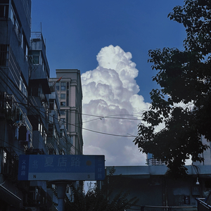 温柔篇章