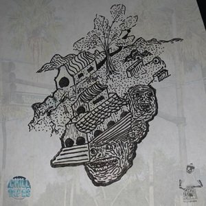 Drunk in Lakeland Again