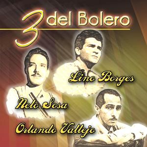 Se Perdio Mi Cancion