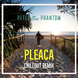 Pleaca (Chillout Remix)