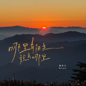 哪里有阳光就去哪里