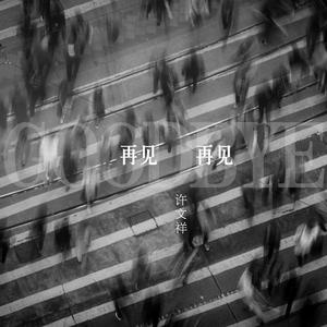 再见 再见 (正式版)