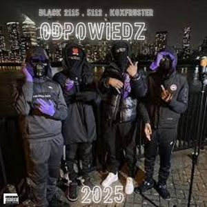 Odpowiedz Diss