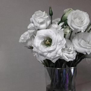 daydayup(prod by 船长&Guess whose beats)