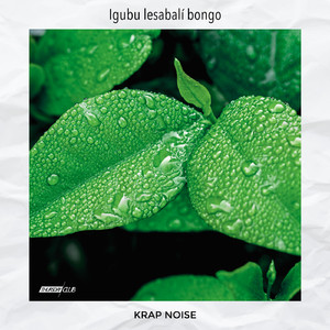 Igubu lesabalí bongo (Original Mix)