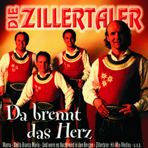 Zillertaler-Hitmix-Medley II