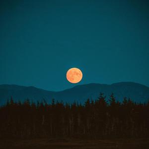 Healing (feat. Fedeflaviano)