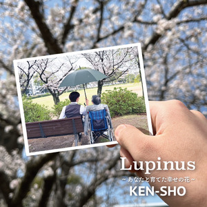 Lupinus ~あなたと育てた幸せの花~