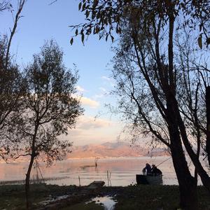 爱你就像爱生命（Cover 房东的猫）