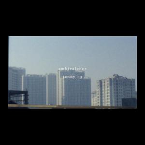 ambivalence