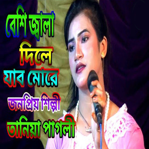 অন্তরে ধইরাছে আমার পিরি নামের ঘুনে