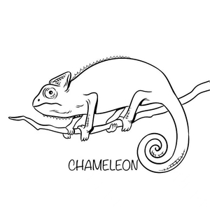 CHAMELEON