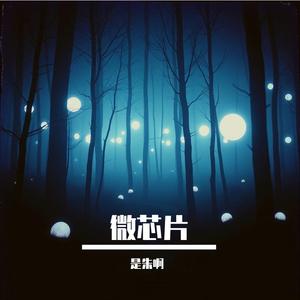 微芯片