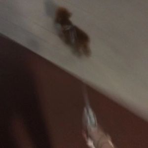 关于我晚自习摸鱼的那些事