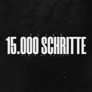 15000 Schritte (feat. BRiSSY & ELJAS) (Remix)
