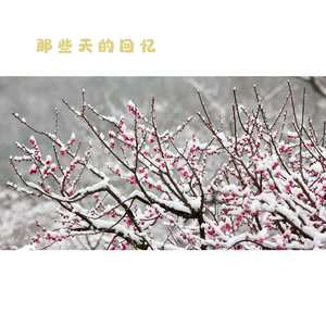 岁月留香 (大提琴)