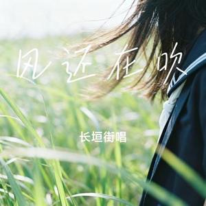风还在吹 (Cover 王效拉)
