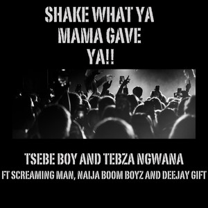 Shake What Ya Mama Gave Ya (Instrumental)
