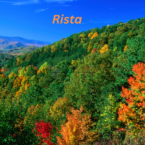 Rista