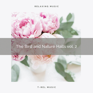 Enjoy Life, Gain Sleep Nature Sounds for Peaceful Calm down