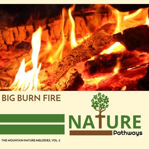 Flora and Fauna of Jungle