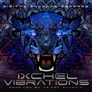 Ohm Master (Original Mix)