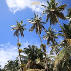 按摩抒情的轻音乐