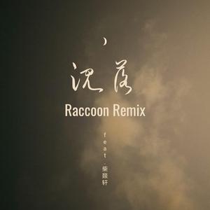 沉落（Raccoon Remix）