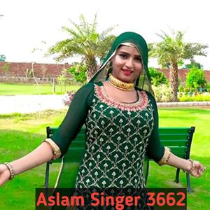 Aslam Singer 3662