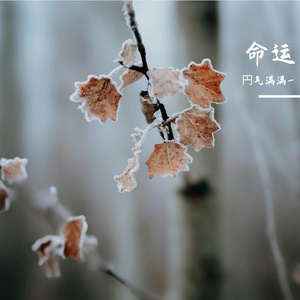 命运