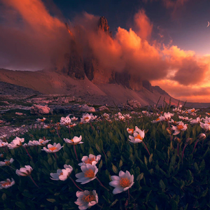 拉黑作品，请勿点开