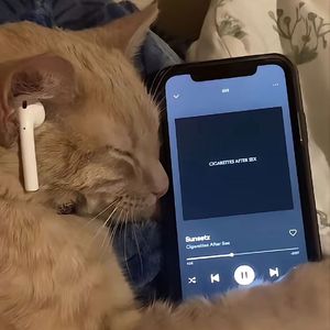 不起眼的一天