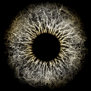 Four Tone Reflections