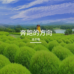 梦想的勇攀登