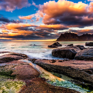 火车窗外的风景和你