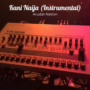 Kani Naija (Instrumental) (Instrumental)
