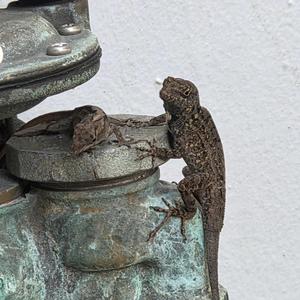 Incendiary Names (Instrumental )