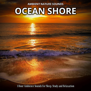 Gliding on the Breeze