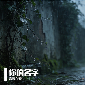 你的名字是生命的答案