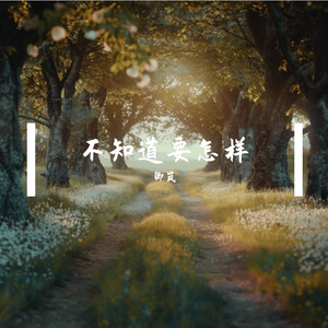 不知道要怎样 伴奏