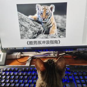 酷男孩冲浪指南（Prod.By Xiangyue）