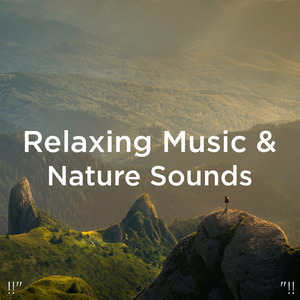 수면을위한 바다의 소리