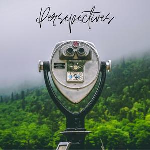 Perspectives