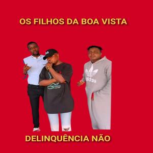 Delinquência Não
