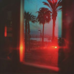 under the neon lights